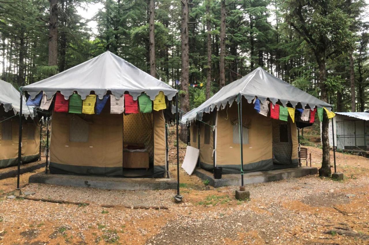 Himtrek Stays,Mcleodganj McLeod Ganj Bagian luar foto