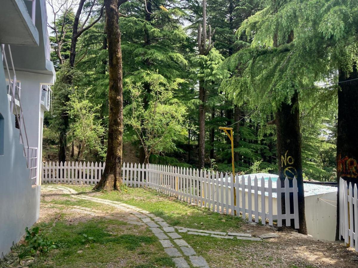 Himtrek Stays,Mcleodganj McLeod Ganj Bagian luar foto
