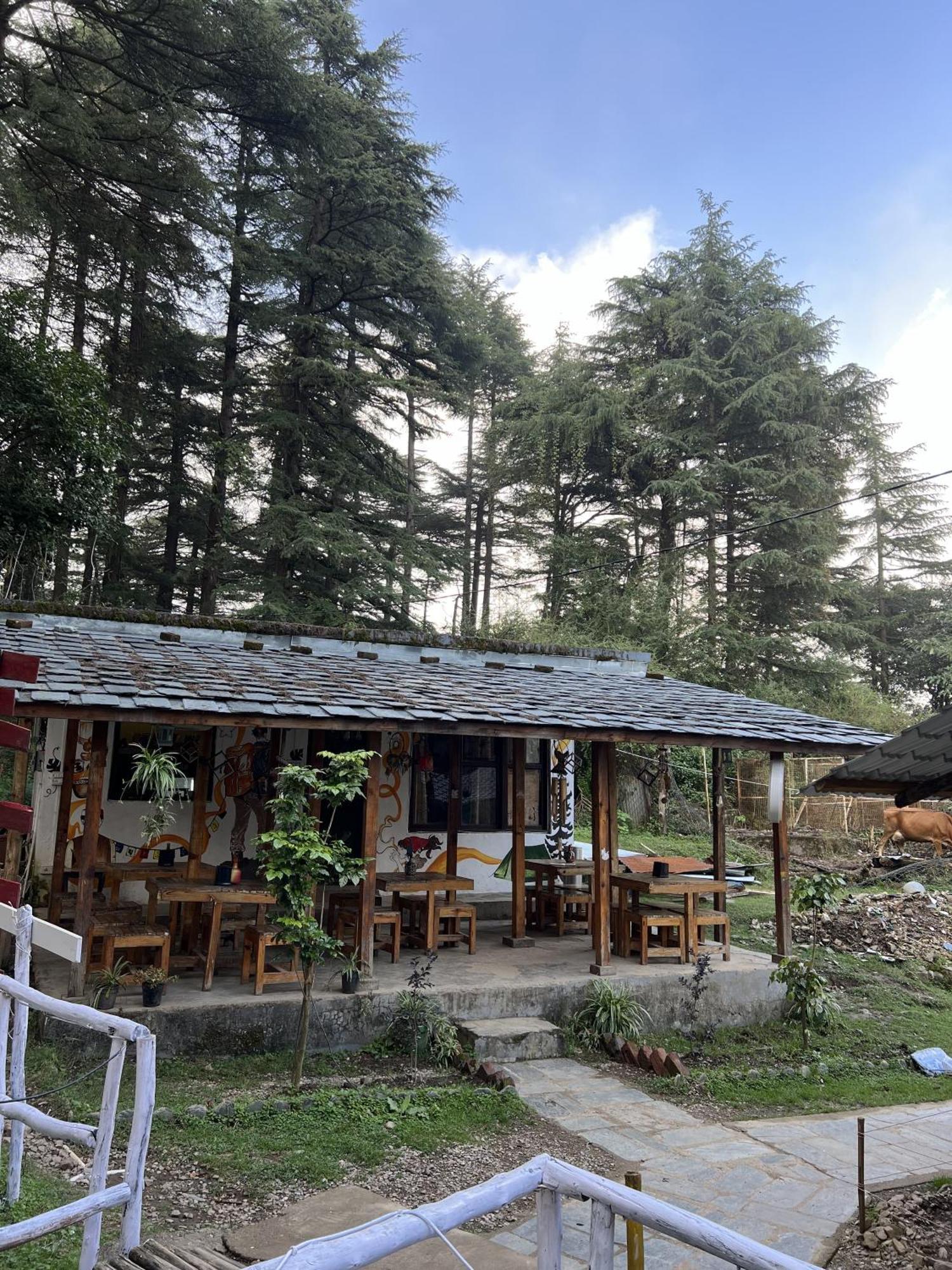 Himtrek Stays,Mcleodganj McLeod Ganj Bagian luar foto