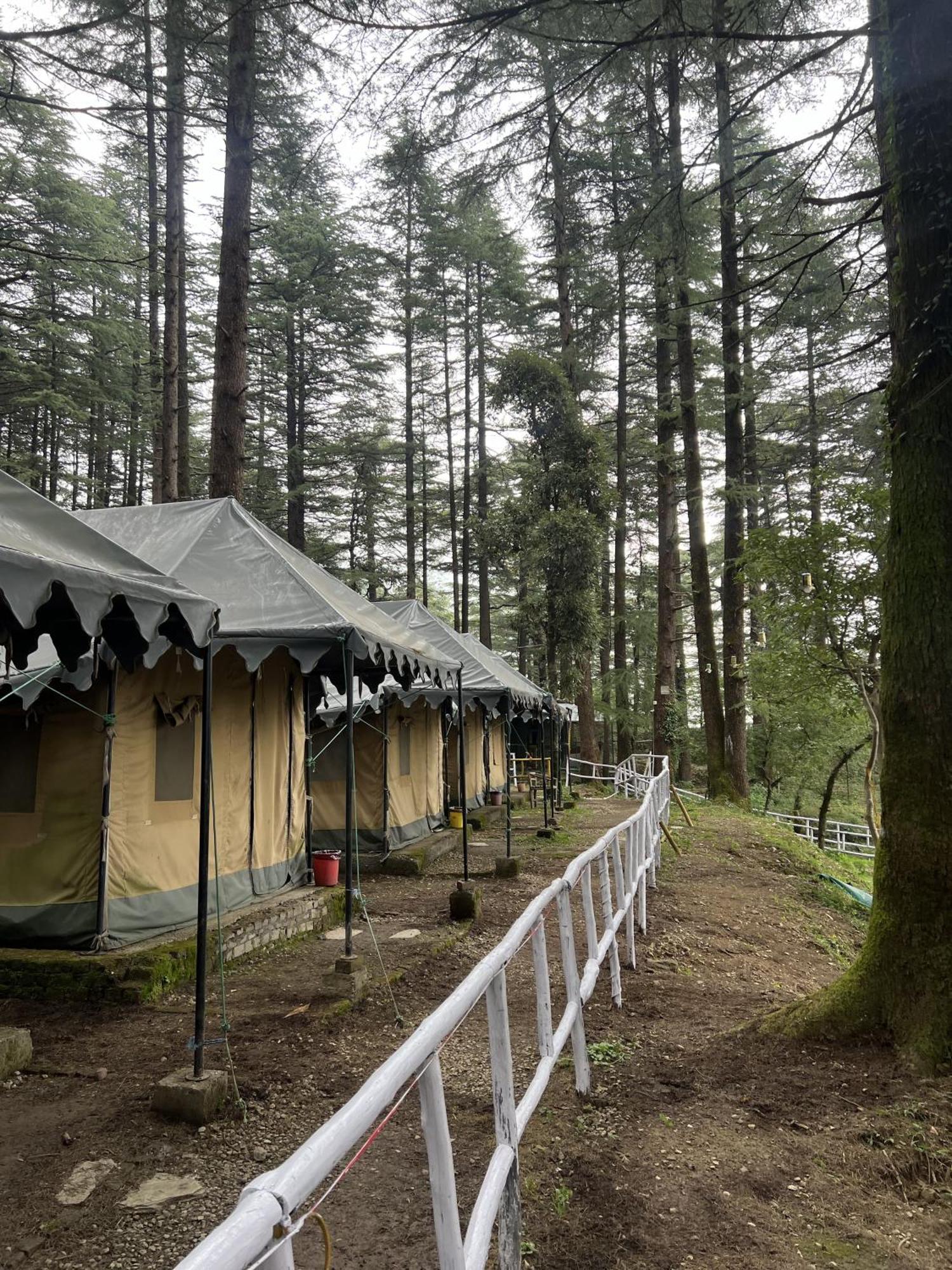 Himtrek Stays,Mcleodganj McLeod Ganj Bagian luar foto
