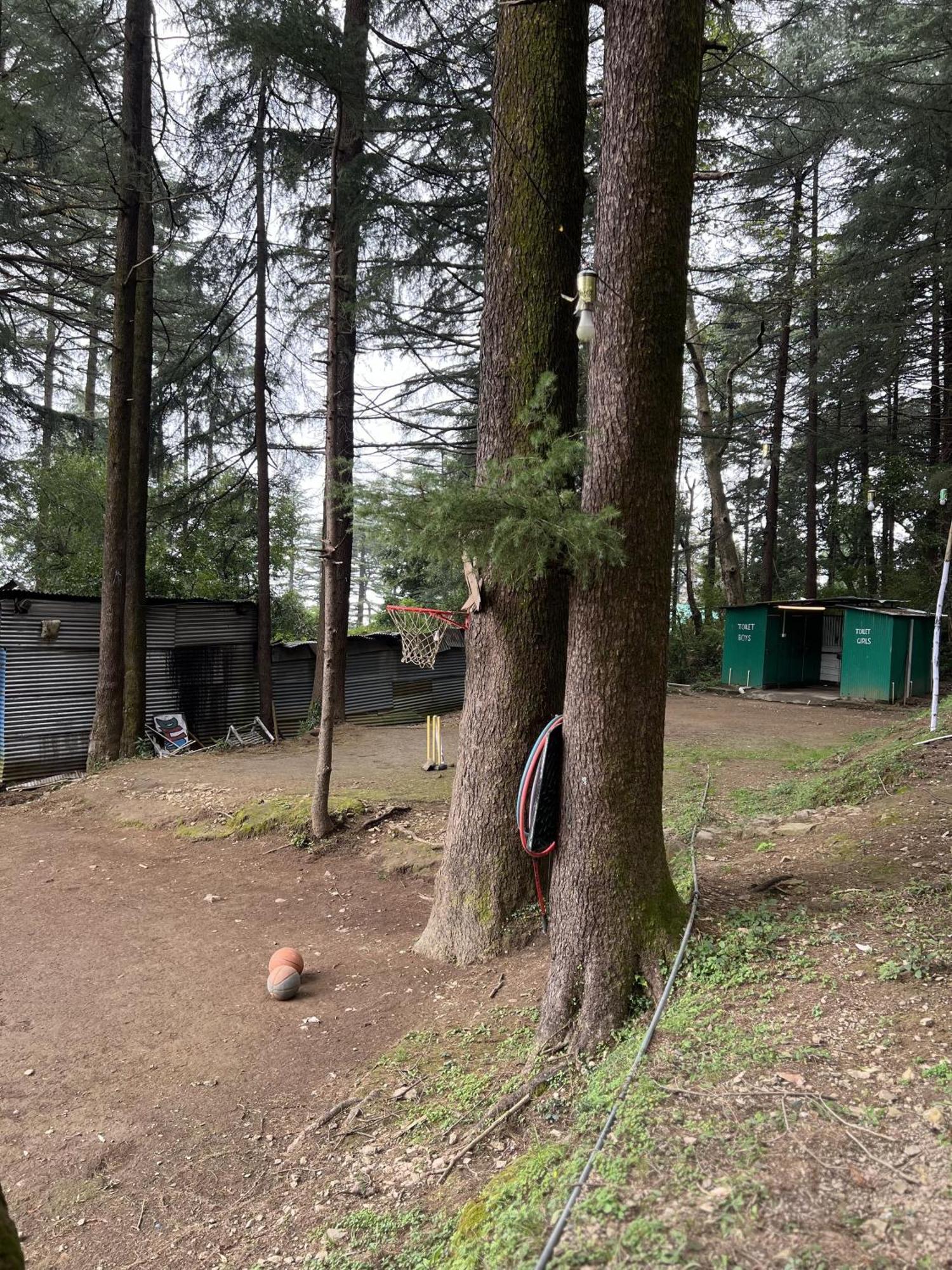 Himtrek Stays,Mcleodganj McLeod Ganj Bagian luar foto
