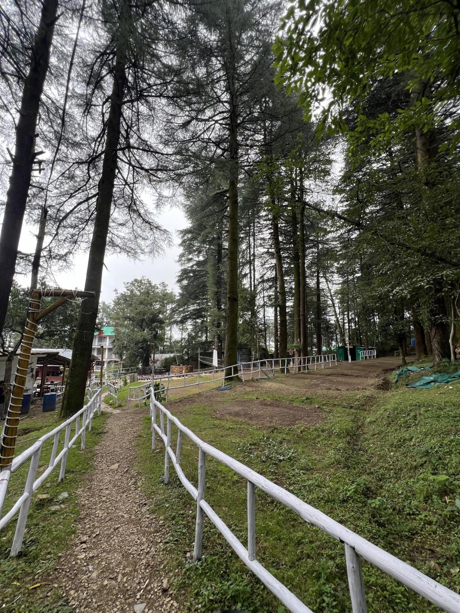 Himtrek Stays,Mcleodganj McLeod Ganj Bagian luar foto
