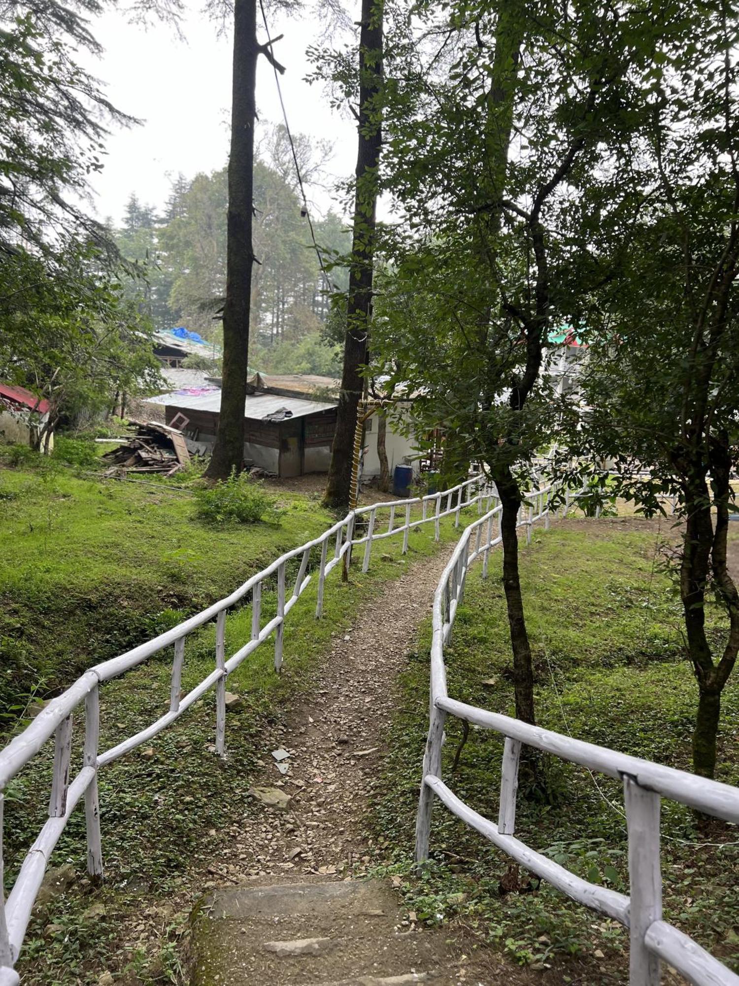 Himtrek Stays,Mcleodganj McLeod Ganj Bagian luar foto