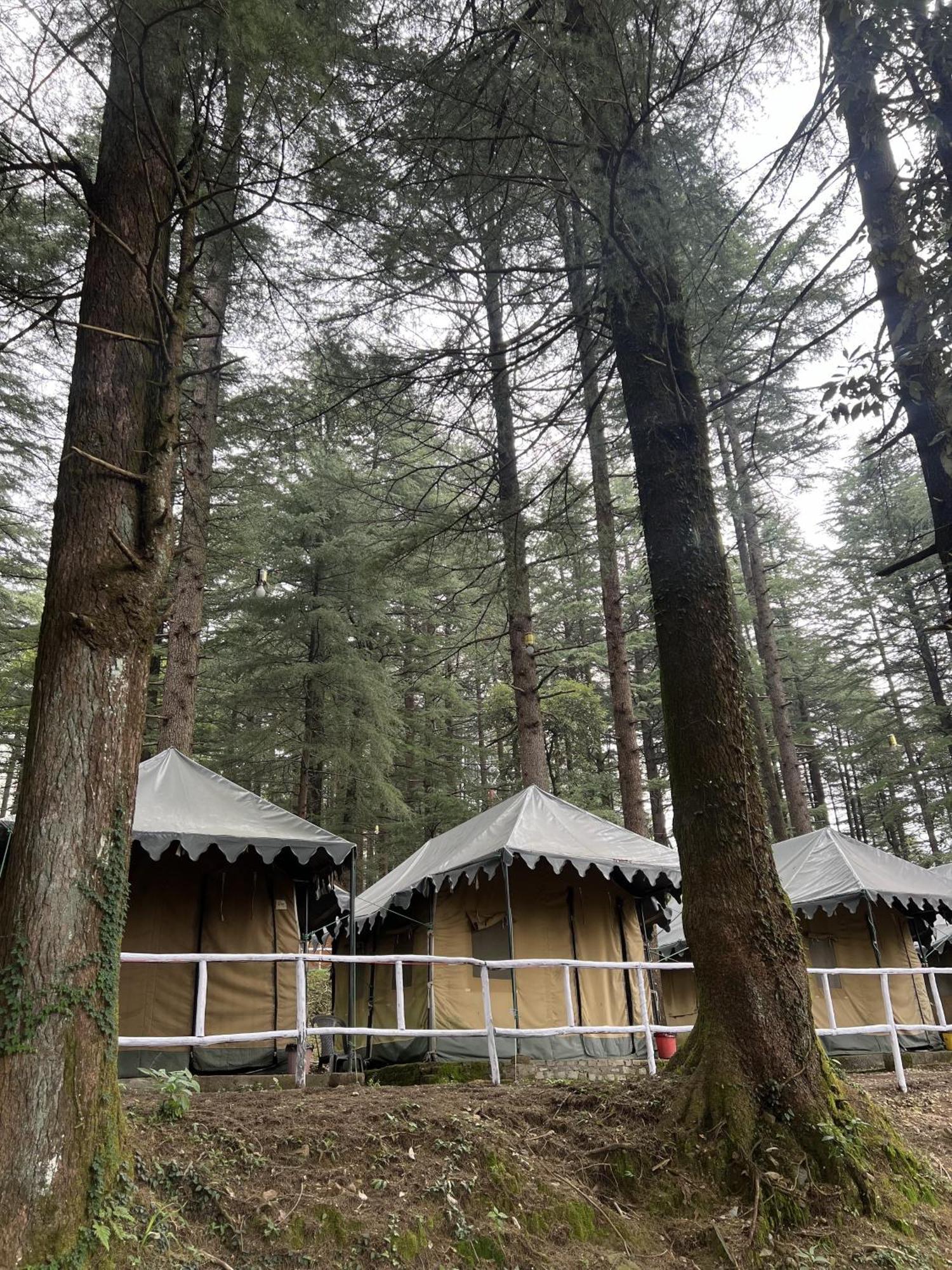 Himtrek Stays,Mcleodganj McLeod Ganj Bagian luar foto