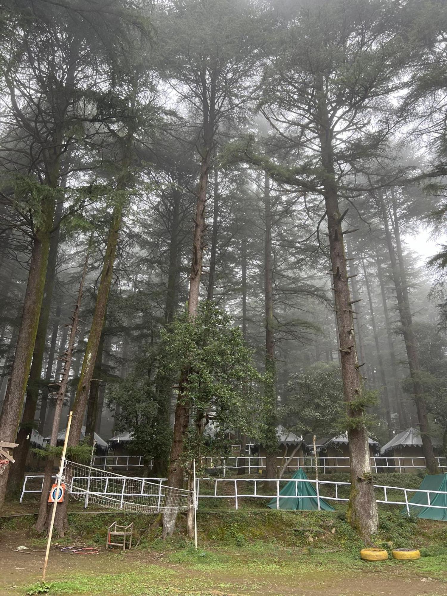 Himtrek Stays,Mcleodganj McLeod Ganj Bagian luar foto