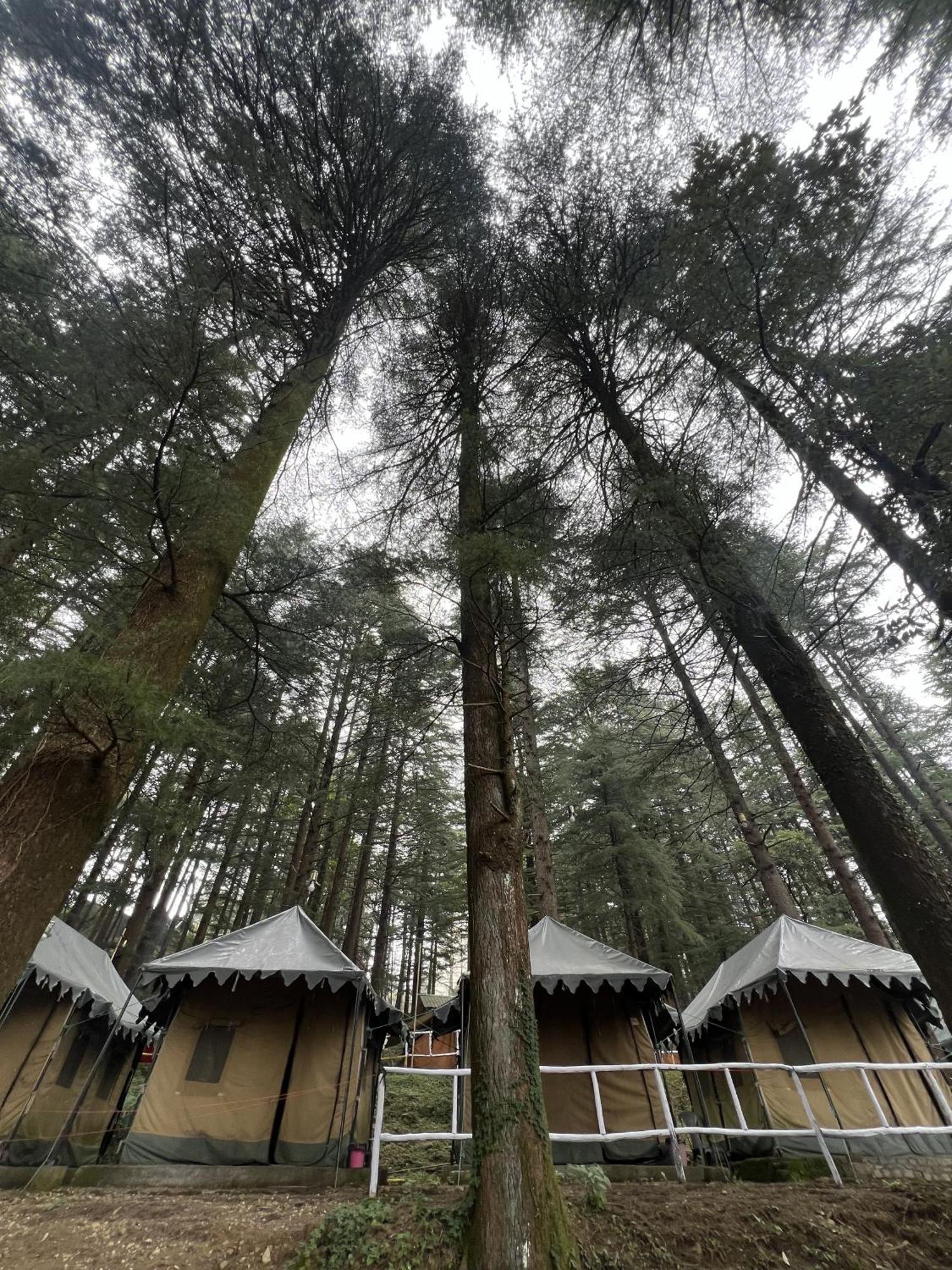Himtrek Stays,Mcleodganj McLeod Ganj Bagian luar foto