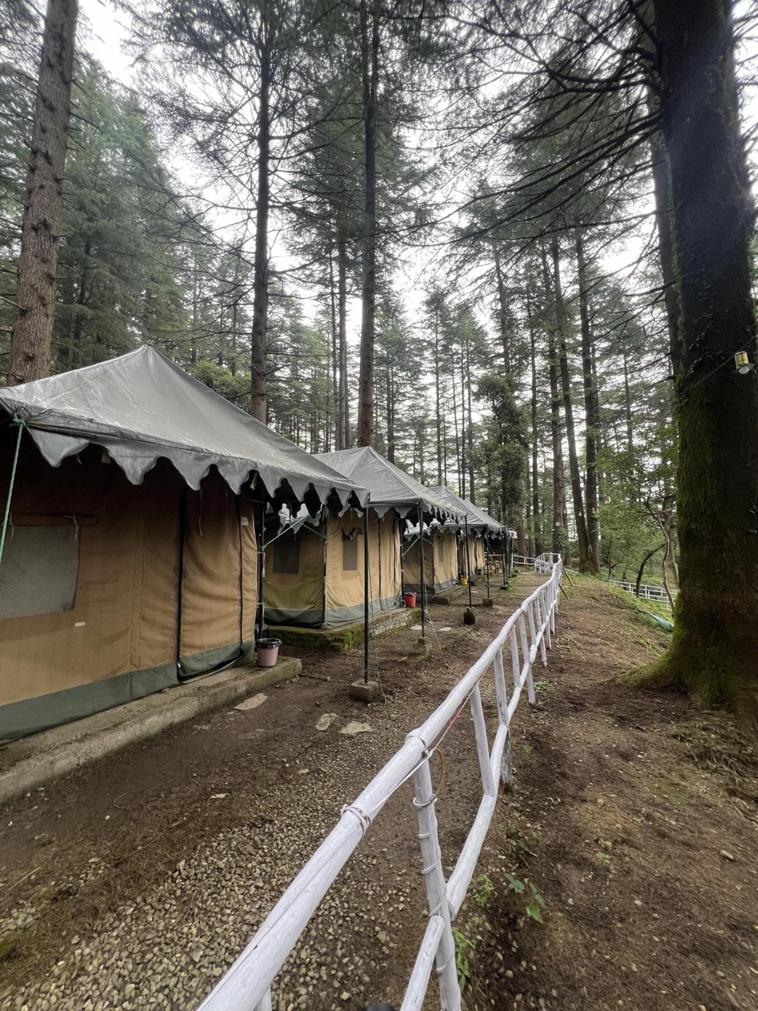Himtrek Stays,Mcleodganj McLeod Ganj Bagian luar foto