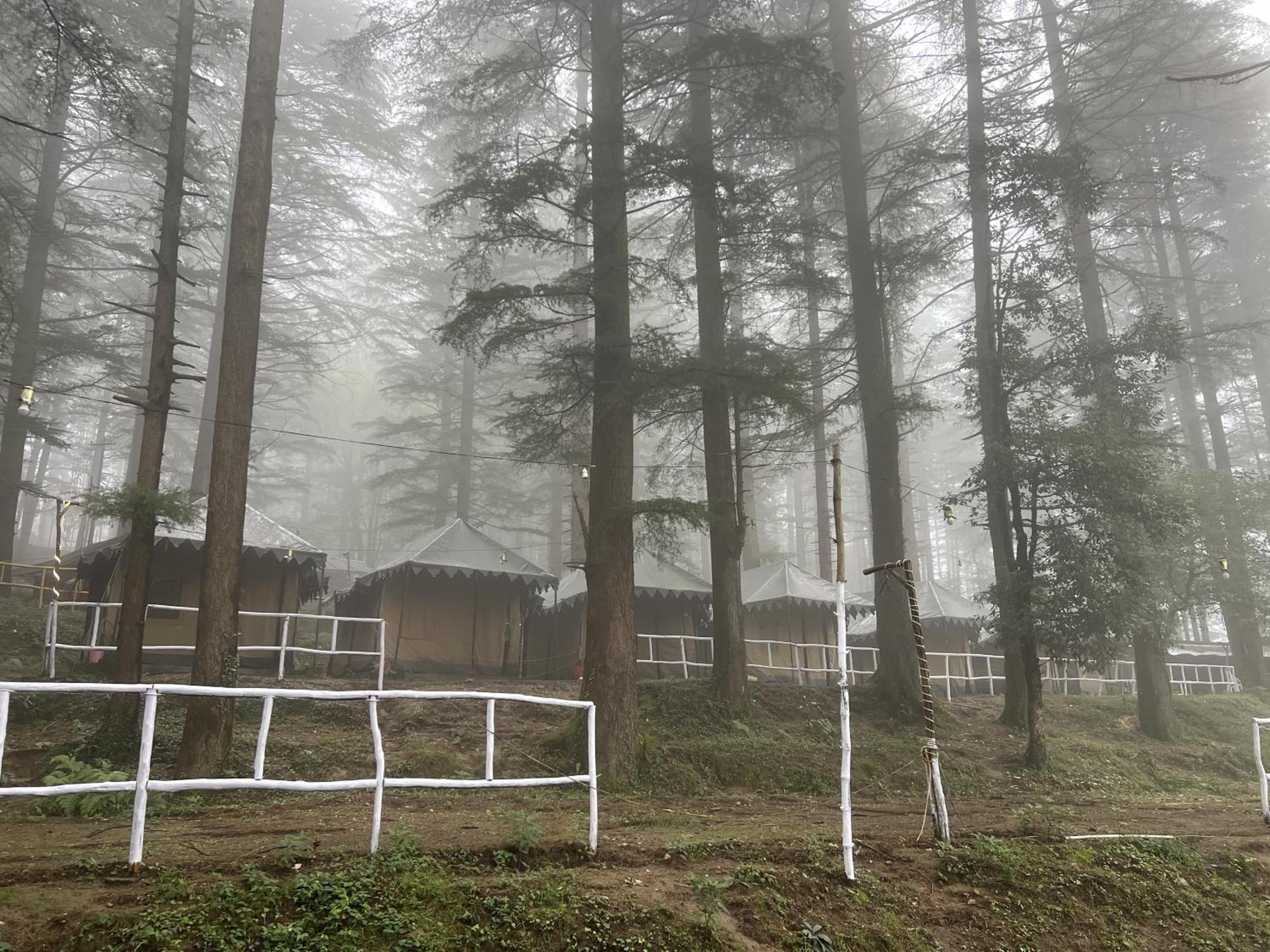 Himtrek Stays,Mcleodganj McLeod Ganj Bagian luar foto