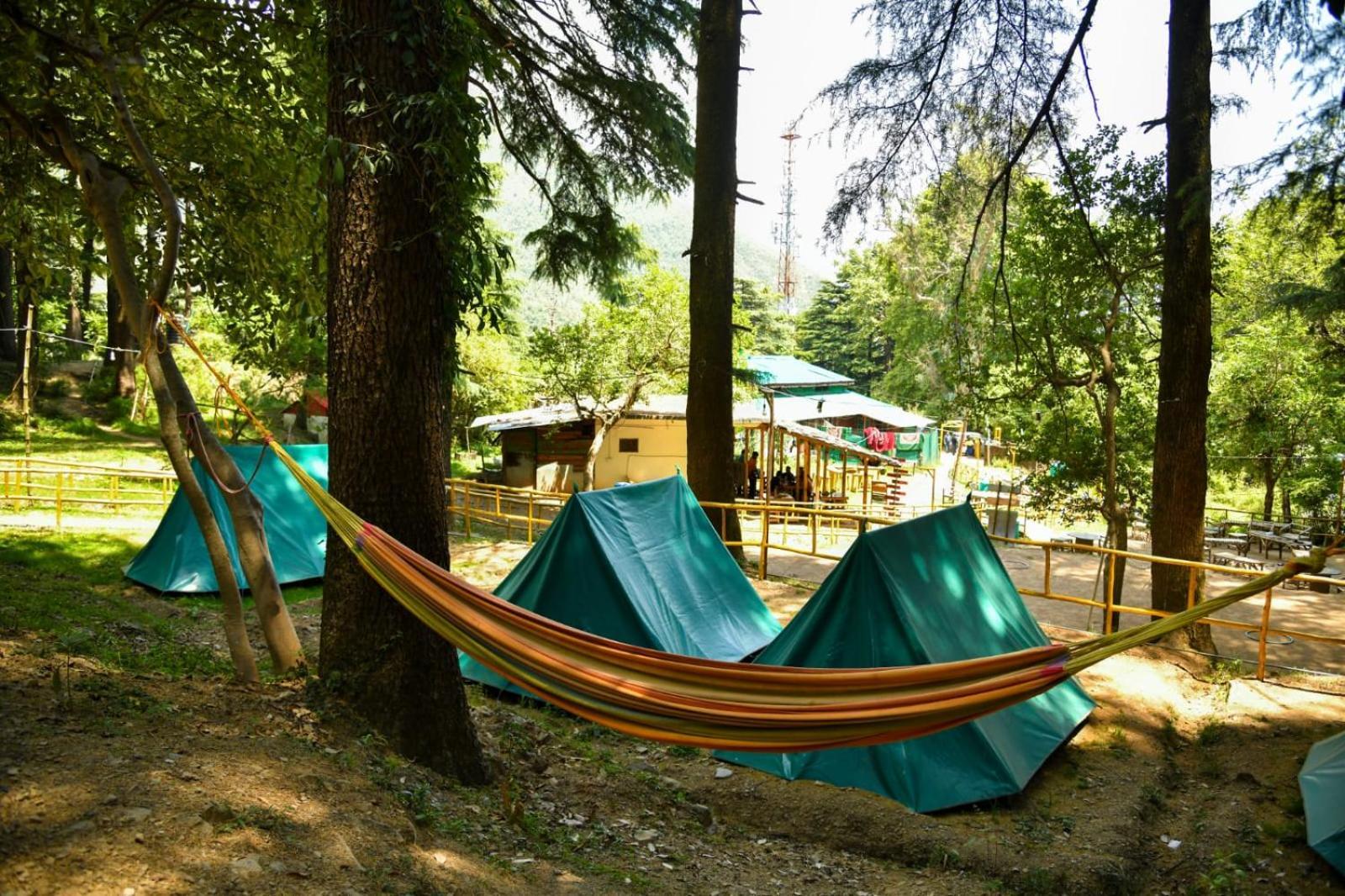 Himtrek Stays,Mcleodganj McLeod Ganj Bagian luar foto